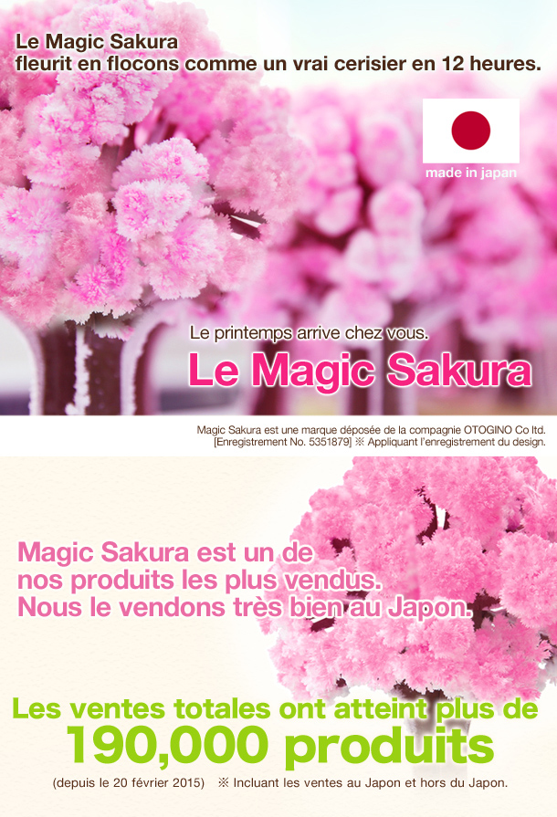 magicsakura_01.jpg