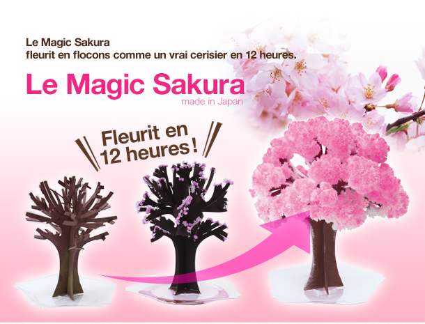 magicsakura_03.jpg