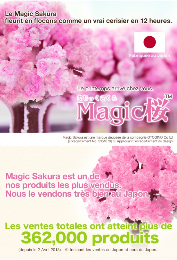 magicsakura_01.jpg